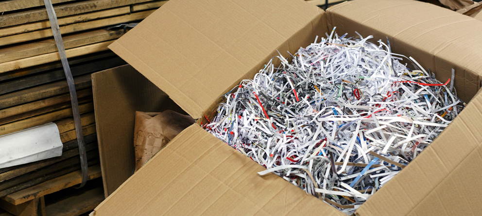 Shredded Paper
