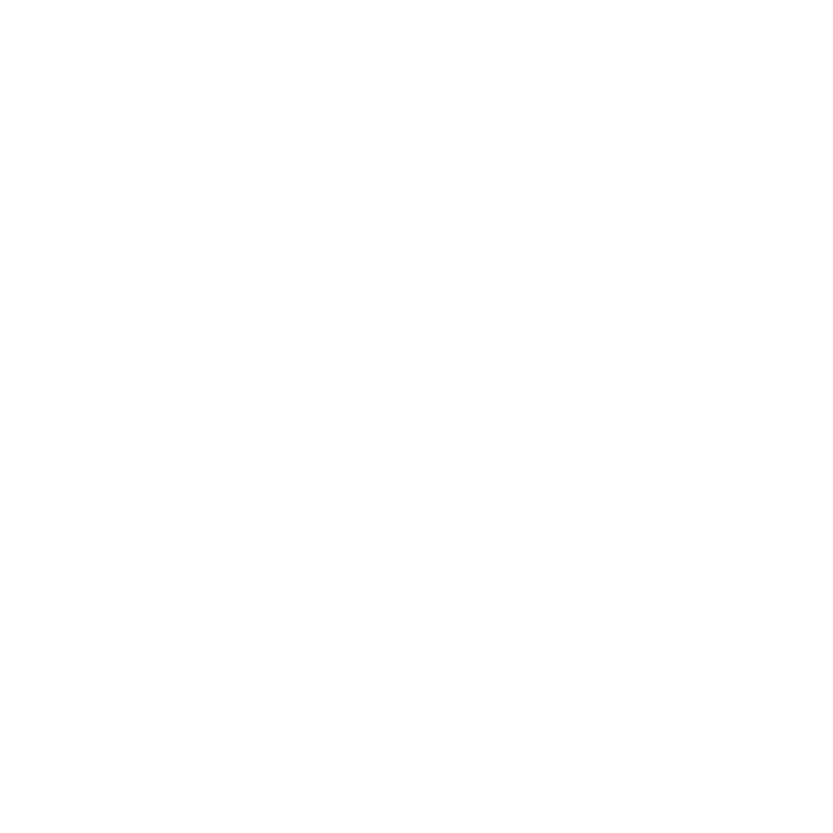 no credit check icon